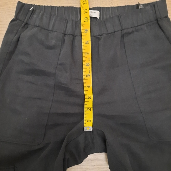 Aritzia Babaton Titan utility pants - Picture 10 of 14